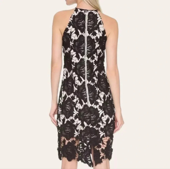 Keepsake The Label True Love Floral Halter Lace Black Cocktail Midi Dress Sz XS. - Picture 3 of 16
